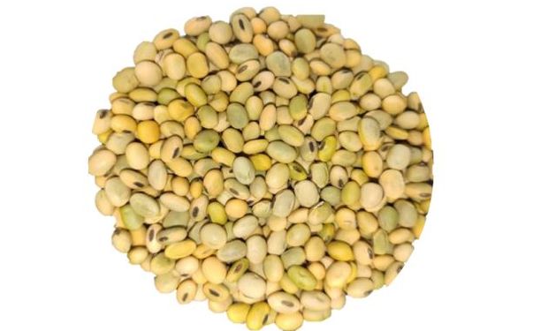 Soja Verde Grano 1Kg