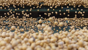 CBOT: incertidumbre por la situación política de Ucrania y los cortes con biocombustibles en Estados Unidos