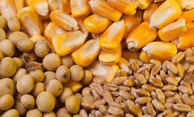 Soja, trigo y maíz: cierre positivo en el Mercado de Chicago
