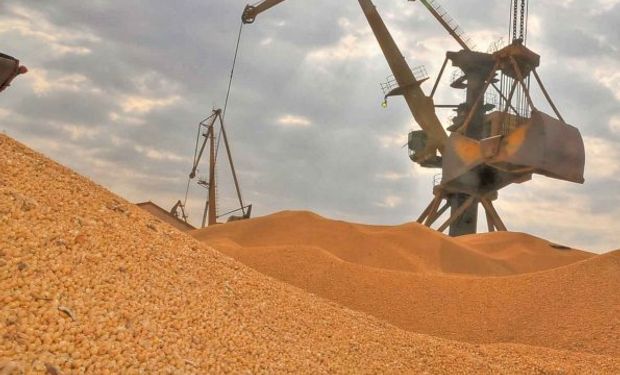 Gobierno busca acelerar la venta de granos para fortalecer reservas