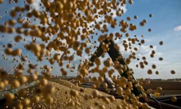 La soja, con un 98% de la cosecha ya levantada, marcará un nuevo récord histórico, con 61 millones de toneladas.