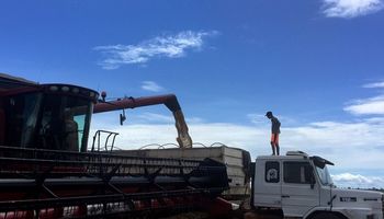 Brasil proyecta aumentar un 30% la cosecha de granos en diez años
