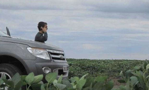 Los muy buenos rendimientos que se lograron en el otoño en el norte cordobés elevaron hasta 3 quintales el valor de los arrendamientos en Totoral y Colón. Foto: Diario Clarín