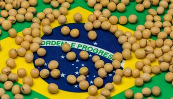 Quais os estados mais ricos do agro no Brasil?