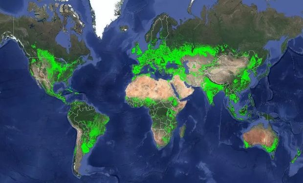 CIG prevê maior safra global de grãos da história para esta temporada