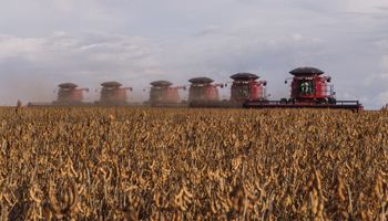 Conab eleva projeção da safra de grãos para 315,8 milhões de toneladas