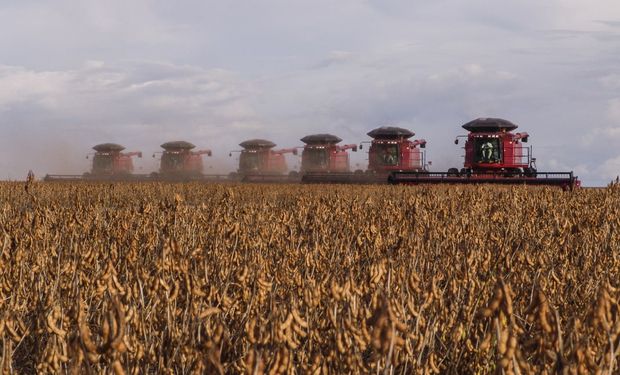 Brasil colherá 103 milhões de toneladas de grãos em áreas de 2ª ou 3ª safras