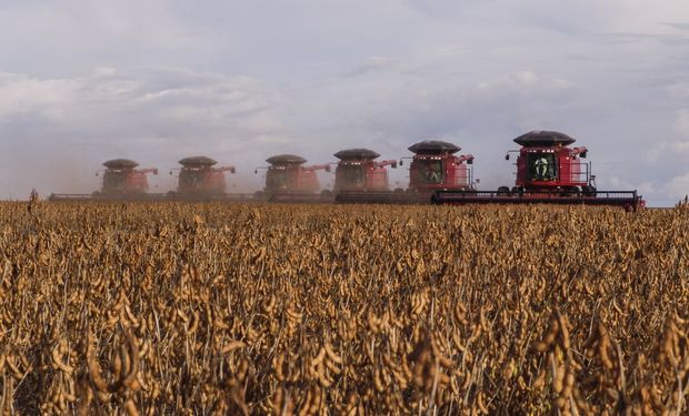 Grãos e cana-de-açúcar respondem pode cerca de 93% do total. (foto - divulgação)