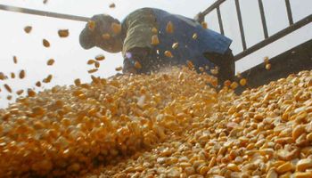 Apesar de produção estável, estoque global de grãos deve cair na safra 2024/2025