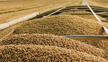 Soja, trigo y maíz: la rueda cerró con amplias ganancias para los commodities