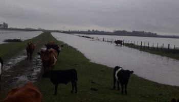 Campos inundados: impactantes imágenes tras las lluvias del viernes