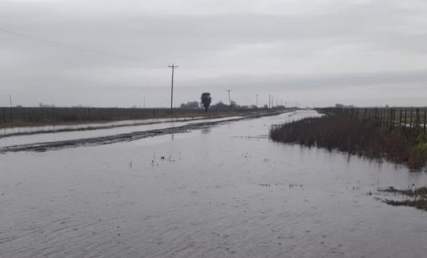 “Pérdidas por desgrane y grano manchado”: se complicó la cosecha de soja tras las lluvias y hay un mensaje que se repite