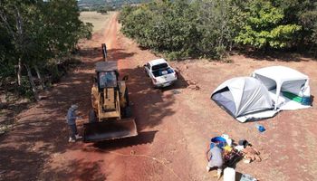Mapa confirma foco de gripe aviária em Cuiabá: Indea adota medidas de contenção