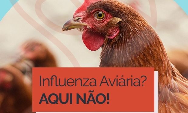 Iniciado em novembro, período de maior migração de aves do Hemisfério Norte para a América do Sul vai até abril. (foto - divulgação Mapa)