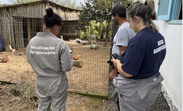 Defesa sanitária do RS visitou 300 propriedades rurais e uma granja de recria de aves no raio de três e dez quilômetros do foco de influenza aviária em Montenegro