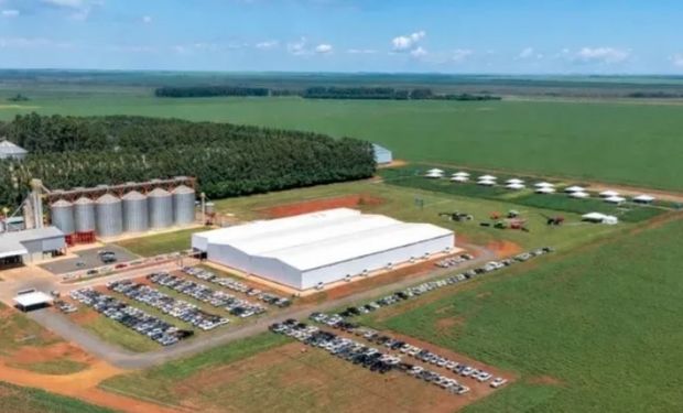 Grupo Formoso obtém liminar e ganha fôlego na recuperação judicial