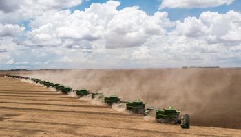 Preço da soja fechou mês de junho com leve alta