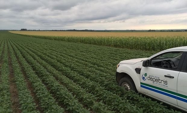 Caso Depetris: cómo lograron sortear crisis para convertirse en referentes del agro en la zona núcleo