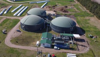 Megainversión: un gigante español desembarca en el negocio porcino argentino con US$ 14 millones