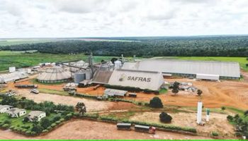 Grupo Safras sofre novas derrotas na Justiça e perde controle sobre ativos