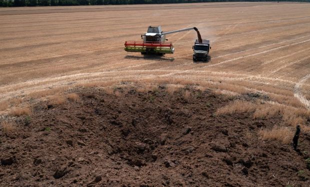 La innovadora estrategia de uno de los mayores grupos de siembra de Ucrania para producir en medio de la guerra