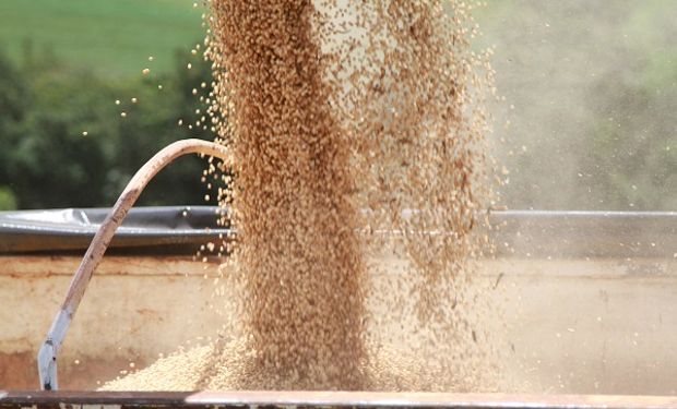 El precio de la soja cayó a su nivel más bajo desde julio