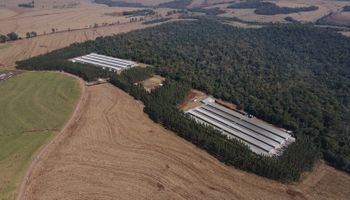 GTF inaugura unidade de ovos férteis no Paraná e amplia controle da produção avícola