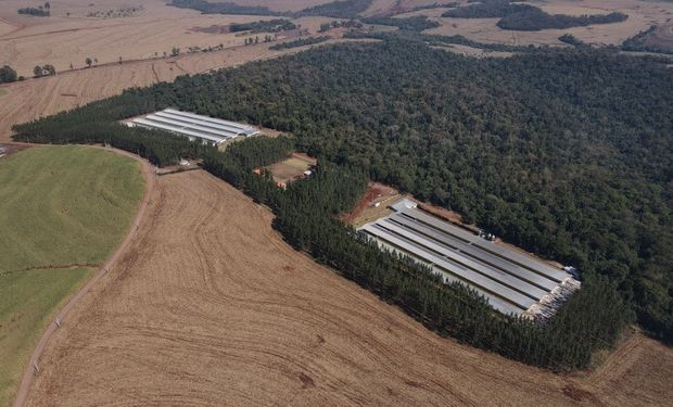 GTF inaugura unidade de ovos no Paraná e amplia controle da produção avícola
