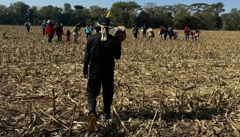 Governador do Paraná e FPA vão ao STF e cobram resolução urgente para invasões de terras