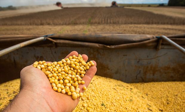 Estalló la guerra comercial: cómo son las medidas que se conocieron hasta ahora y cómo impactan en soja, trigo y maíz