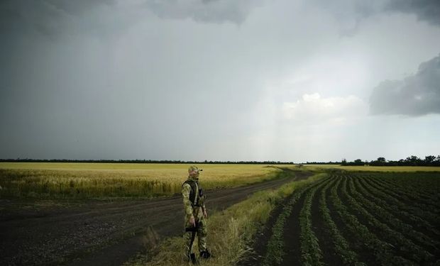 Guerra Rússia e Ucrânia: qual o impacto para o agro após três anos de conflito?