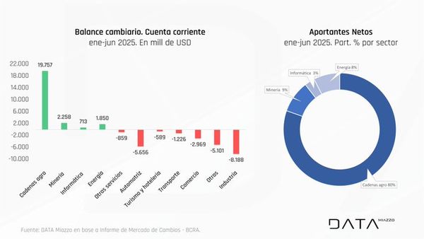 dolar argentina 2025