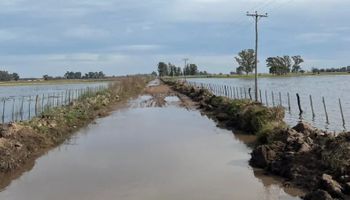 Un millón de hectáreas bajo agua: productores piden obras, créditos blandos, ayuda impositiva y la obra del Salado