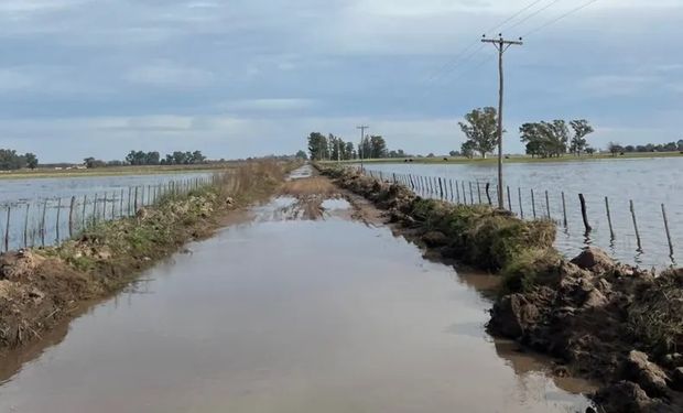 Un millón de hectáreas bajo agua: productores piden obras, créditos blandos, ayuda impositiva y la obra del Salado