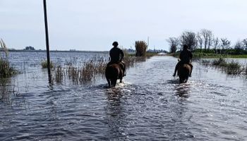 Inundaciones: prorrogan la emergencia agropecuaria en Buenos Aires y reclaman a Nación la homologación
