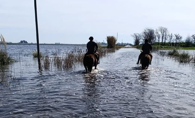 Inundaciones: prorrogan la emergencia agropecuaria en Buenos Aires y reclaman a Nación la homologación