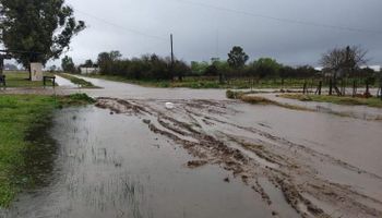Productores denuncian abandono y hablan de desastre por las inundaciones: "Es como tener una enfermedad terminal y que te manden a meditar”