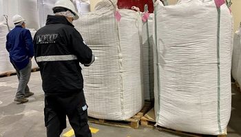 La AFIP vigila al campo: detectó faltantes por 60.800 toneladas de maní en una importante empresa de alimentos