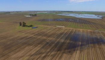Por qué se agravaron las inundaciones que afectan al agro