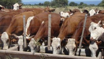 Buenos ingresos en los mercados dejan subas en los valores