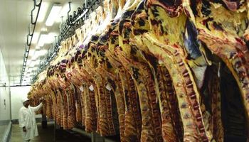 Uruguay: frigoríficos apuestan a China buscando recuperar los precios