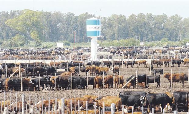 Exportar dejó de ser una utopía pero hace falta mayor competitividad.
