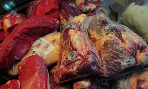 Generan expectativa los últimos y mejores precios de exportación.