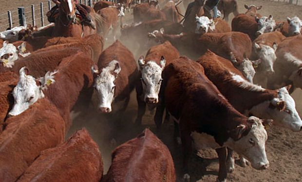 Nuevo Registro especial en la actividad agropecuaria.