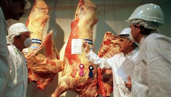 Mejora en las exportaciones de carne vacuna