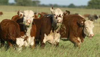 Registro de operadores de la cadena de Hacienda y Carnes. Detalles de la inscripción