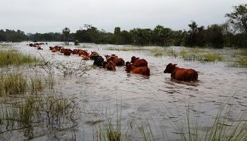 Santa Fe llevará a la cumbre de Córdoba la crisis del campo