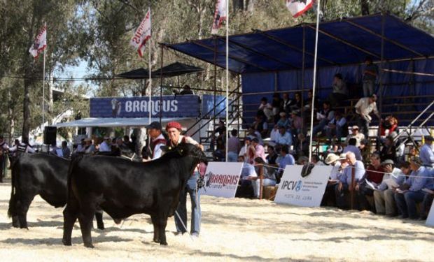 Además, el Concurso de Escuelas Agrotécnicas.