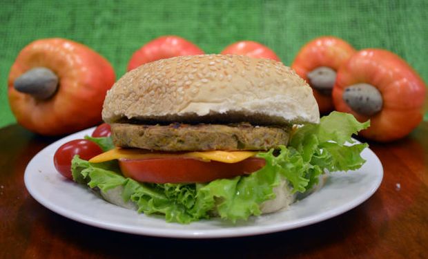 Hambúrguer vegetal à base de fibra de caju enriquecido com proteína texturizada de soja. (foto - Ana Elisa Galvão/Embrapa)