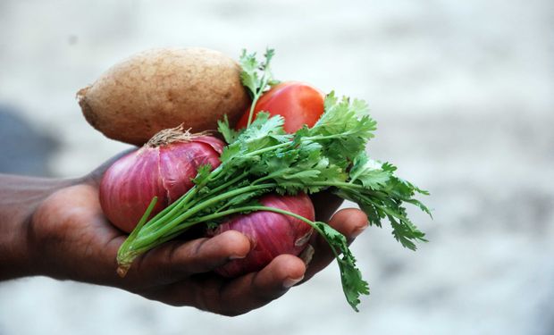 La mirada de especialistas sobre la alimentación en Argentina.